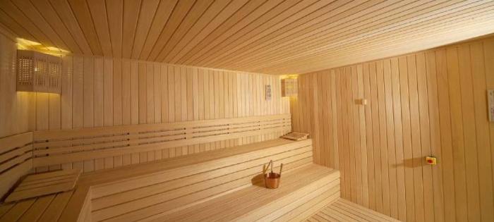 Kuru sauna (kuru ısı) ve buhar odası (ıslak buhar) arasındaki görsel farkı gösteren yan yana bir konsept.